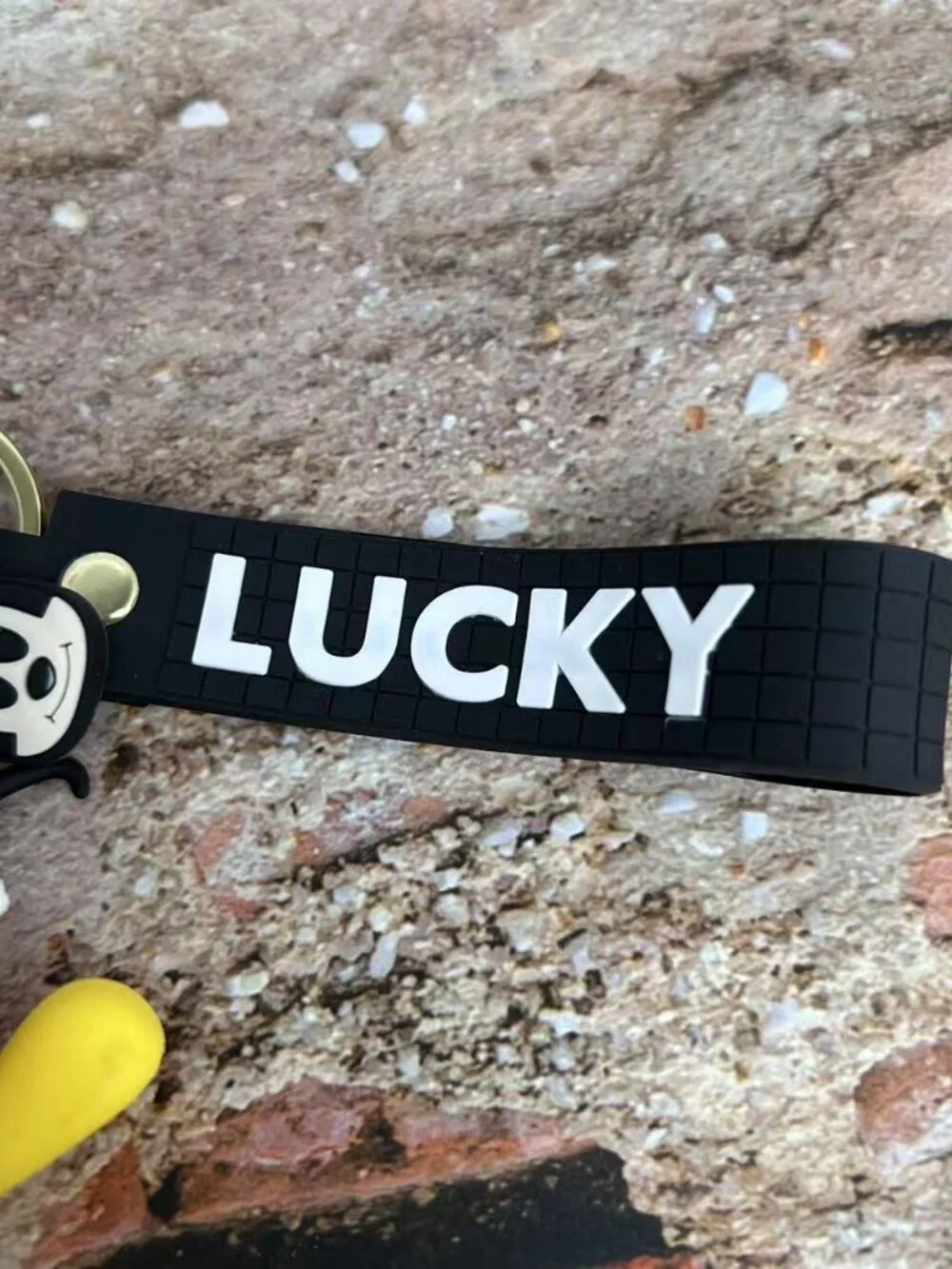 Disney use environmentally